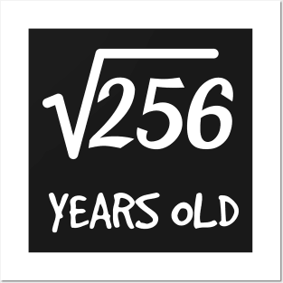 Square Root of 256: 16th Birthday 16 Years Old Teen Boy Girl Posters and Art